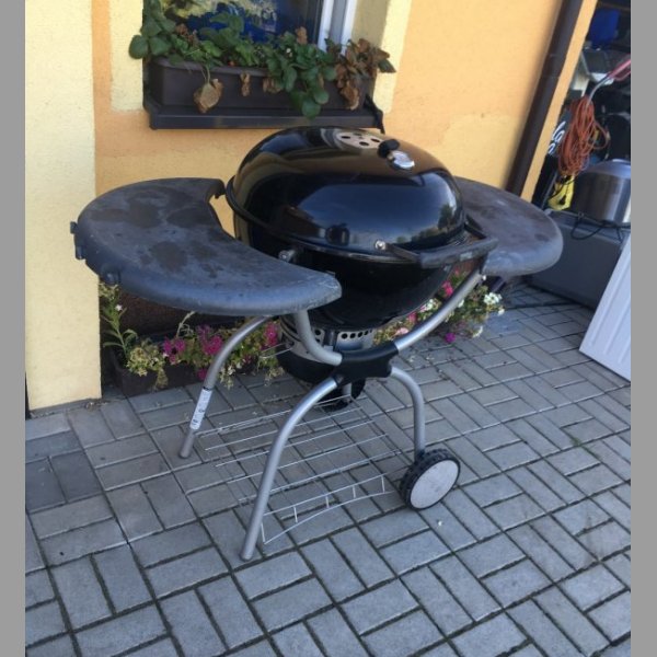 Gril Weber Master